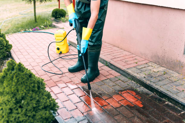 Best Warehouse Cleaning  in El Cenizo, TX